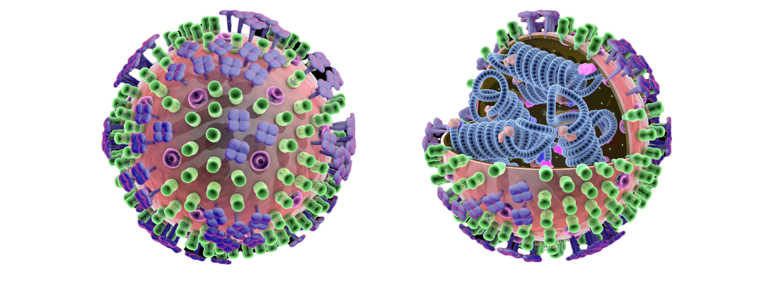 041701650407485584.png 041701650407485584.png