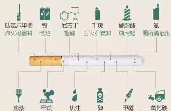 031748925961517129.jpg 031748925961517129.jpg