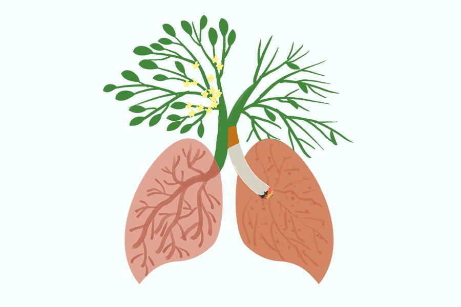 031748926097250894.jpg 031748926097250894.jpg